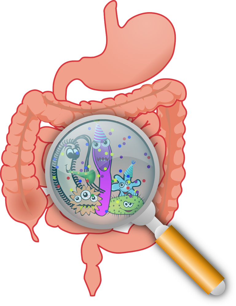 GUT BACTERIA WILL MAKE OR BREAK YOU
