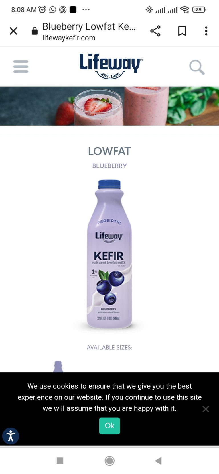 Low Fat KEFER Shake